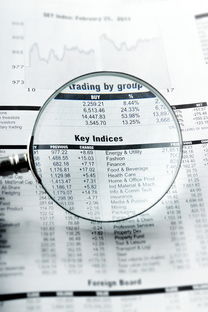 舒兰同志供卵选性别：nt值偏高风险大吗下一步检查什么？